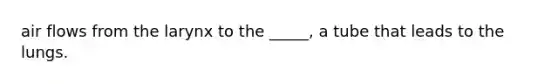 air flows from the larynx to the _____, a tube that leads to the lungs.