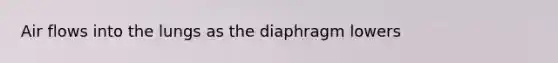 Air flows into the lungs as the diaphragm lowers