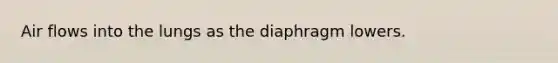 Air flows into the lungs as the diaphragm lowers.