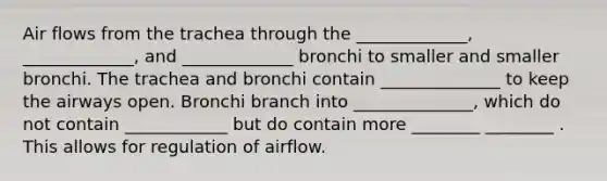 Air flows from the trachea through the _____________, _____________, and _____________ bronchi to smaller and smaller bronchi. The trachea and bronchi contain ______________ to keep the airways open. Bronchi branch into ______________, which do not contain ____________ but do contain more ________ ________ . This allows for regulation of airflow.