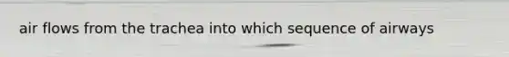 air flows from the trachea into which sequence of airways