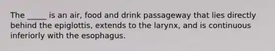 The _____ is an air, food and drink passageway that lies directly behind the epiglottis, extends to the larynx, and is continuous inferiorly with the esophagus.