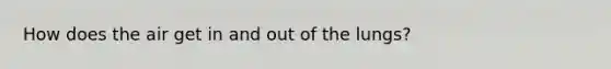 How does the air get in and out of the lungs?