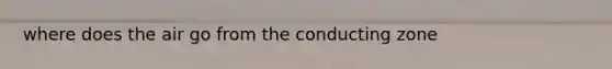 where does the air go from the conducting zone