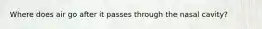Where does air go after it passes through the nasal cavity?
