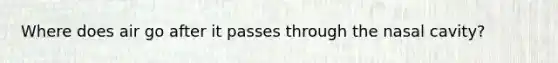 Where does air go after it passes through the nasal cavity?