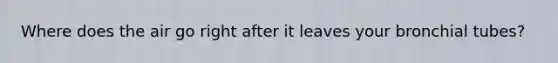 Where does the air go right after it leaves your bronchial tubes?