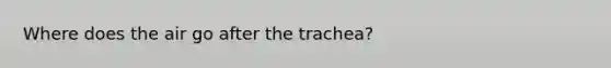 Where does the air go after the trachea?