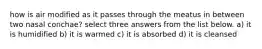 how is air modified as it passes through the meatus in between two nasal conchae? select three answers from the list below. a) it is humidified b) it is warmed c) it is absorbed d) it is cleansed