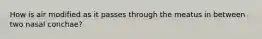 How is air modified as it passes through the meatus in between two nasal conchae?