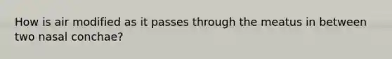 How is air modified as it passes through the meatus in between two nasal conchae?