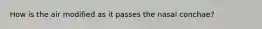 How is the air modified as it passes the nasal conchae?