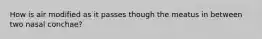 How is air modified as it passes though the meatus in between two nasal conchae?