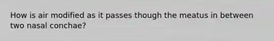 How is air modified as it passes though the meatus in between two nasal conchae?