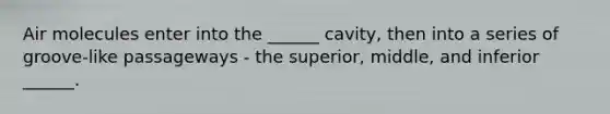 Air molecules enter into the ______ cavity, then into a series of groove-like passageways - the superior, middle, and inferior ______.