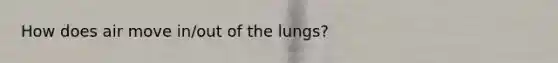 How does air move in/out of the lungs?