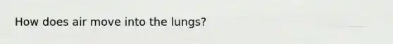 How does air move into the lungs?