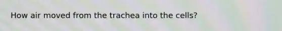 How air moved from the trachea into the cells?