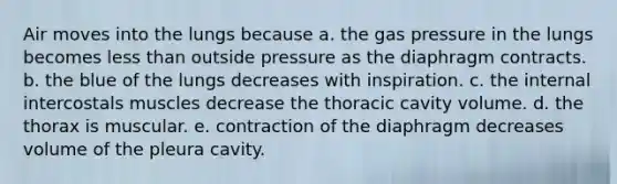 Air moves into the lungs because a. the gas pressure in the lungs becomes less than outside pressure as the diaphragm contracts. b. the blue of the lungs decreases with inspiration. c. the internal intercostals muscles decrease the thoracic cavity volume. d. the thorax is muscular. e. contraction of the diaphragm decreases volume of the pleura cavity.