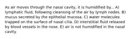 As air moves through the nasal cavity, it is humidified by... A) lymphatic fluid, following cleansing of the air by lymph nodes. B) mucus secreted by the epithelial mucosa. C) water molecules trapped on the surface of nasal cilia. D) interstitial fluid released by blood vessels in the nose. E) air is not humidified in the nasal cavity.