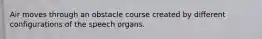 Air moves through an obstacle course created by different configurations of the speech organs.