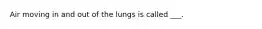 Air moving in and out of the lungs is called ___.