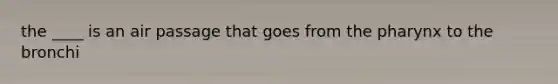 the ____ is an air passage that goes from the pharynx to the bronchi