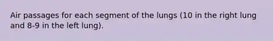 Air passages for each segment of the lungs (10 in the right lung and 8-9 in the left lung).