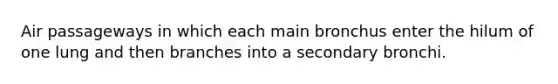 Air passageways in which each main bronchus enter the hilum of one lung and then branches into a secondary bronchi.