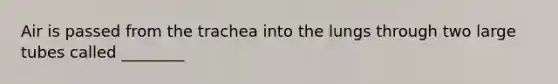 Air is passed from the trachea into the lungs through two large tubes called ________