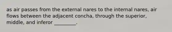 as air passes from the external nares to the internal nares, air flows between the adjacent concha, through the superior, middle, and inferor _________.