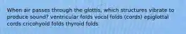 When air passes through the glottis, which structures vibrate to produce sound? ventricular folds vocal folds (cords) epiglottal cords cricohyoid folds thyroid folds