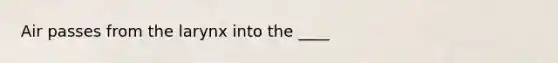 Air passes from the larynx into the ____