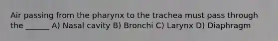 Air passing from the pharynx to the trachea must pass through the ______ A) Nasal cavity B) Bronchi C) Larynx D) Diaphragm