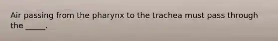 Air passing from the pharynx to the trachea must pass through the _____.