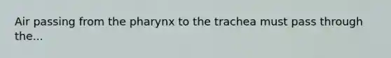 Air passing from the pharynx to the trachea must pass through the...