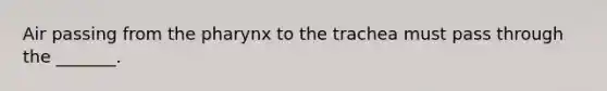 Air passing from the pharynx to the trachea must pass through the _______.