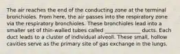 The air reaches the end of the conducting zone at the terminal bronchioles. From here, the air passes into the respiratory zone via the respiratory bronchioles. These bronchioles lead into a smaller set of thin-walled tubes called ______________ ducts. Each duct leads to a cluster of individual alveoli. These small, hollow cavities serve as the primary site of gas exchange in the lungs.