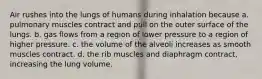 Air rushes into the lungs of humans during inhalation because a. pulmonary muscles contract and pull on the outer surface of the lungs. b. gas flows from a region of lower pressure to a region of higher pressure. c. the volume of the alveoli increases as smooth muscles contract. d. the rib muscles and diaphragm contract, increasing the lung volume.