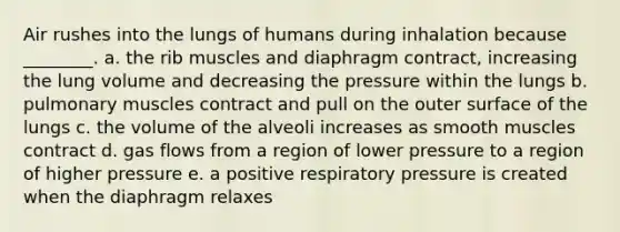 Air rushes into the lungs of humans during inhalation because ________. a. the rib muscles and diaphragm contract, increasing the lung volume and decreasing the pressure within the lungs b. pulmonary muscles contract and pull on the outer surface of the lungs c. the volume of the alveoli increases as smooth muscles contract d. gas flows from a region of lower pressure to a region of higher pressure e. a positive respiratory pressure is created when the diaphragm relaxes