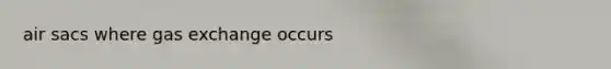 air sacs where <a href='https://www.questionai.com/knowledge/kU8LNOksTA-gas-exchange' class='anchor-knowledge'>gas exchange</a> occurs