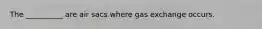 The __________ are air sacs where gas exchange occurs.