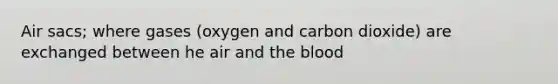 Air sacs; where gases (oxygen and carbon dioxide) are exchanged between he air and the blood