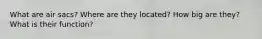 What are air sacs? Where are they located? How big are they? What is their function?