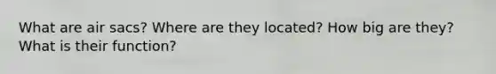 What are air sacs? Where are they located? How big are they? What is their function?