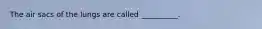 The air sacs of the lungs are called __________.