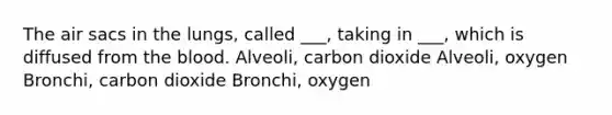 The air sacs in the lungs, called ___, taking in ___, which is diffused from the blood. Alveoli, carbon dioxide Alveoli, oxygen Bronchi, carbon dioxide Bronchi, oxygen