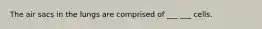 The air sacs in the lungs are comprised of ___ ___ cells.