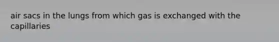 air sacs in the lungs from which gas is exchanged with the capillaries