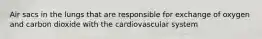 Air sacs in the lungs that are responsible for exchange of oxygen and carbon dioxide with the cardiovascular system